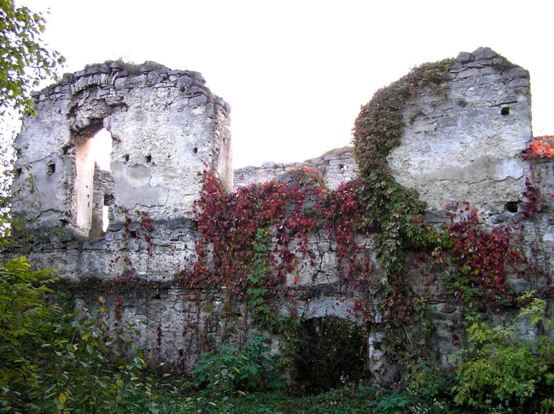 photo15.jpg