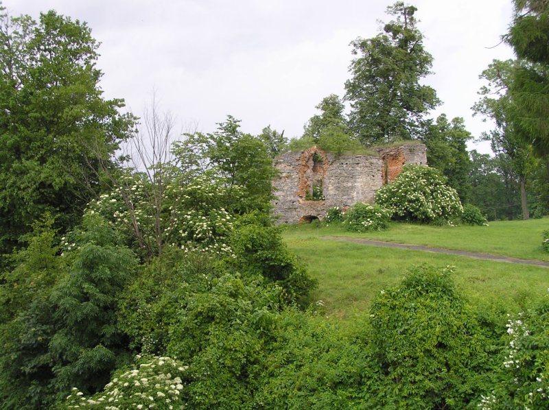photo89.jpg