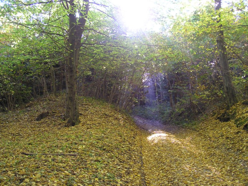 pa070048.jpg