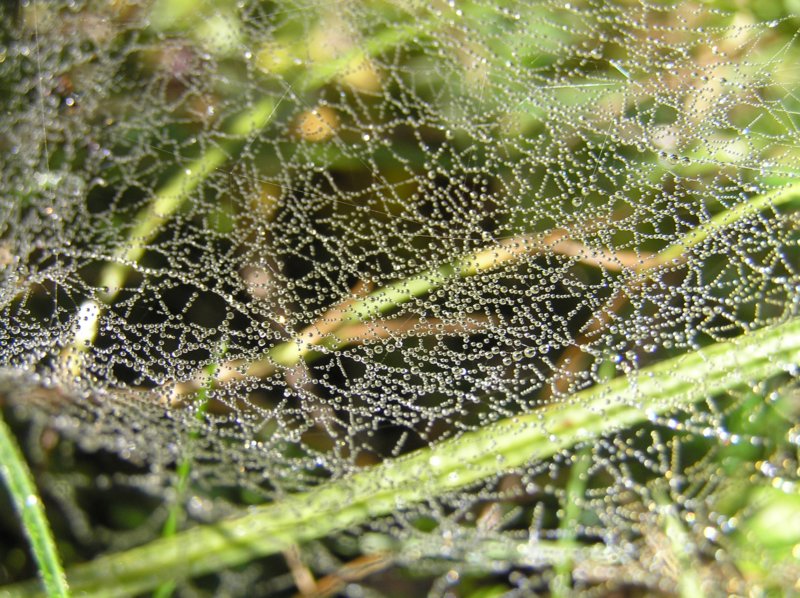 pa070051.jpg